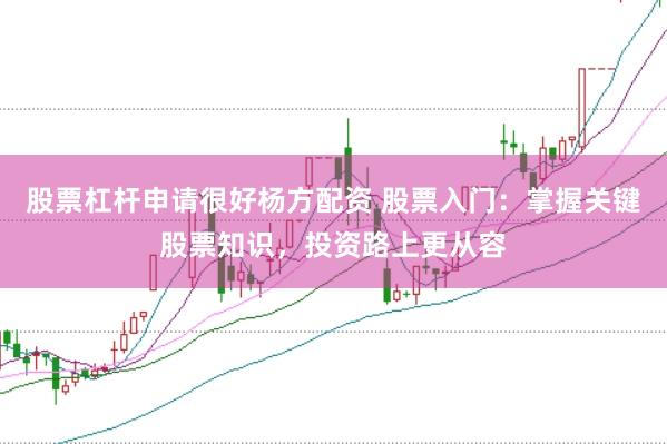 股票杠杆申请很好杨方配资 股票入门：掌握关键股票知识，投资路上更从容