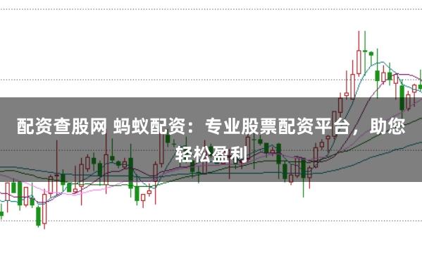 配资查股网 蚂蚁配资：专业股票配资平台，助您轻松盈利