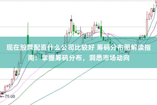 现在股票配资什么公司比较好 筹码分布图解读指南：掌握筹码分布，洞悉市场动向